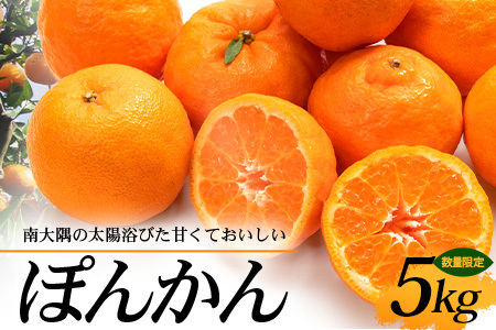 [先行予約・数量限定]南大隅の太陽浴びた甘くて・おいしい ぽんかん 5kg[2026年1月中旬以降順次発送]|ぽんかん ポンカン 柑橘 甘い 果物 新鮮 産地 直送 先行予約 おすすめ 人気 南大隅町(ID-1)