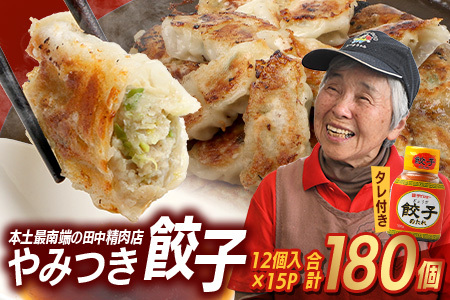 佐多の田中肉屋ニンニクたっぷりやみつき餃子 180個(12個入り×15パック) 餃子のタレ2本付き 