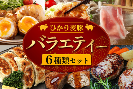 鹿児島県産 ひかり麦豚 バラエティーセット 冷凍 精肉 加工品 