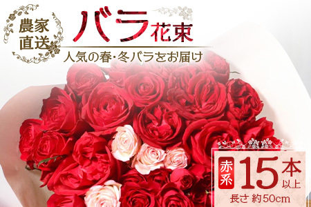 [先行予約][人気の春・冬薔薇をお届け]ばら農家直送!バラ花束15本以上お届け(赤系) [ギフト対応可]TB-9│ローズ 新鮮 花 フラワー 花束 ばら 薔薇 バラ 誕生日 記念日 結婚祝い ギフト プレゼント お祝い 贈り物 贈答 鹿児島県 南大隅町 富田園