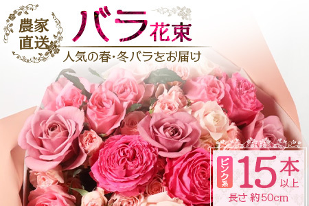 [先行予約][人気の春・冬薔薇をお届け]ばら農家直送!バラ花束15本以上お届け(ピンク系) [ギフト対応可]TB-10│ローズ 新鮮 花 フラワー 花束 ばら 薔薇 バラ 誕生日 記念日 結婚祝い ギフト プレゼント お祝い 贈り物 贈答 鹿児島県 南大隅町 富田園