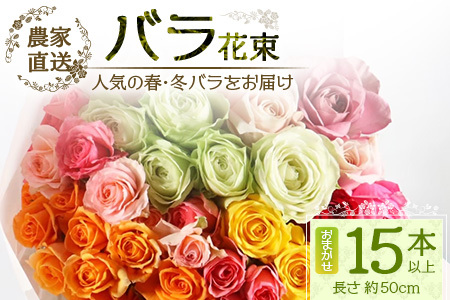[先行予約][人気の春・冬薔薇をお届け]ばら農家直送!バラ花束15本以上お届け(色はおまかせ) [ギフト対応可]TB-12│ローズ 新鮮 花 フラワー 花束 ばら 薔薇 バラ 誕生日 記念日 結婚祝い ギフト プレゼント お祝い 贈り物 贈答 鹿児島県 南大隅町 富田園