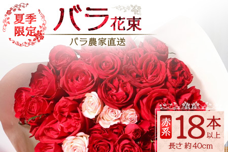 [先行予約・夏季限定 薔薇]ばら農家直送!バラ花束18本以上お届け(赤系) [ギフト対応可]TB-1│ローズ 新鮮 花 フラワー 花束 ばら 薔薇 バラ 誕生日 記念日 結婚祝い ギフト プレゼント お祝い 贈り物 贈答 鹿児島県 南大隅町 富田園