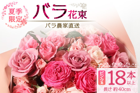 [先行予約・夏季限定 薔薇]ばら農家直送!バラ花束18本以上お届け(ピンク系)[ギフト対応可]TB-2│ローズ 新鮮 花 フラワー 花束 ばら 薔薇 バラ 誕生日 記念日 結婚祝い ギフト プレゼント お祝い 贈り物 贈答 鹿児島県 南大隅町 富田園