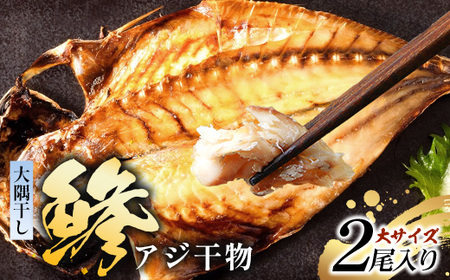 鹿児島県産 アジ 干物 大サイズ×2枚 ≪合計2枚≫[1枚 約22〜25センチ]PT-1 | 開き 大隅干し 冷凍 国産 鯵 ひもの 海鮮 新鮮 瞬間冷凍 産地直送 鹿児島県 南大隅町 ピットスリー