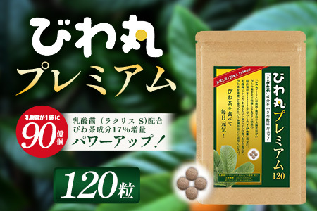 びわ丸プレミアム 1袋(120粒入) 健康補助食品 びわ茶含有加工食品 TO-8-NP| 国産 びわ茶 びわの葉 サプリメント 乳酸菌 ノンカフェイン ポリフェノール ネコポス 鹿児島県 南大隅町 十津川農場