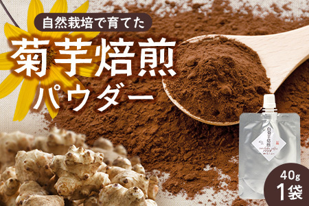 白色菊芋焙煎 パウダー (40g×1袋)SK-3| コーヒー 菊芋 パウダー ノンカフェイン 野菜茶 きくいも お茶 焙煎 ギフト グルメ お取り寄せ 鹿児島県 南大隅町 島子農園