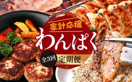 [定期便全3回]ひかり麦豚 わんぱく定期便 ≪月替わりで焼肉・ハンバーグ・餃子をお届け!≫ 冷凍 HM-10 