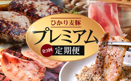 [定期便全3回]ひかり麦豚 プレミアム定期便 ≪月替わりでしゃぶしゃぶ・焼肉・ハンバーグをお届け!≫ 冷凍 HM-11 