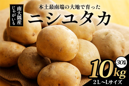 ys\zႪ n鏒 (oCV) 2L`L 10kg×1 /jV^J (30)  2026N320菇 CS-1bYn { WKC  |eg ΂ꂢ VႪ t