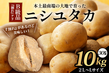[先行予約][B級品](割れ) じゃがいも 馬鈴薯 (バレイショ) ≪2L〜L≫ 約10kg×1箱 /ニシユタカ (約30個) ≪2026年3月20日頃より順次発送≫ CS-2 