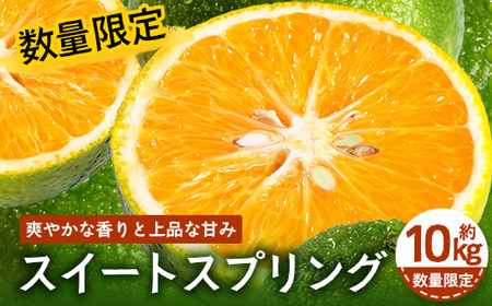 ys\zyʌzY XC[gXvO 10kgy2025N12{ȍ~z SK-11 | k t[c Y ʕ ݂ Ԍ ʌ Yn  VN