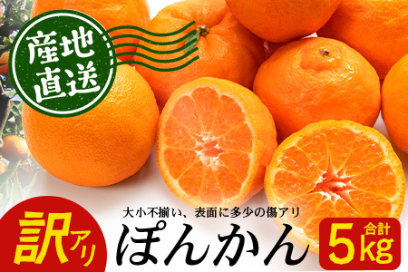 y󂠂zss\t̑zтÂāE ۂ񂩂 5kgyʌz2026N1{ȍ~ ID-2b󂠂 A ۂ񂩂 |J k JLc k l