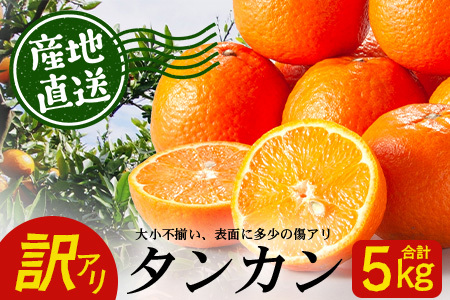 y󂠂zss\t̑zтÂāE ^J 5kgyʌz<2026N2{ȍ~> ID-3b󂠂 A 񂩂 ^J k JLc k lߍ