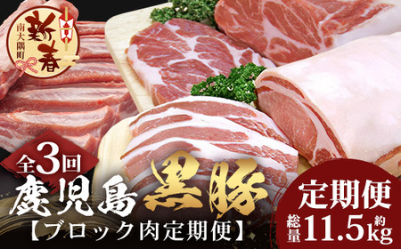[新春]≪全3回≫[南大隅町限定]食べ応え満点! ★ かごしま黒豚 ブロック肉 定期便 ★ 鹿児島県産 NS-26 