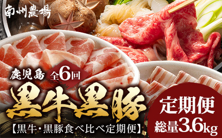 ��S6��� ���������Y �� ���������ؐH�ה�� ����ց�  ��B���� �������܍��� NS-28 | �� �� ���� �u�����h�� ���јa�� ���������� ���� �ؓ� �� �Ԃ��� ���~�� �T�V ���[�X ����Ԃ���� ��