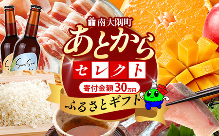 あとからセレクト[ふるさとギフト]30万円分 MN-22 │ 300000 鹿児島県 南大隅町 あとから選べる 返礼品 特産品 プラン 選べる返礼品 あとから選べる ギフト ギフトポイント 後から選ぶ カタログギフト