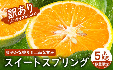 [訳あり][数量限定]鹿児島県南大隅町産 スイートスプリング (S〜M玉) 約5kg SK-19 