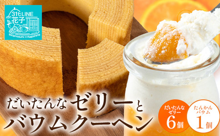 [2026年3月中旬から発送] だいたんな!ときめくゼリー & バウムセット( だいたんなゼリー6個 + ≪ 極 ≫ たんかんバウム )SH-8 