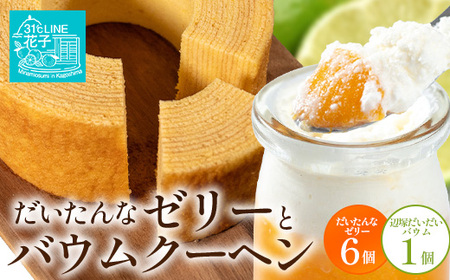 [2026年3月中旬から発送]だいたんな!ときめくゼリー & バウムセット( だいたんなゼリー6個 + ≪ 極 ≫ 辺塚だいだいバウム )SH-9 