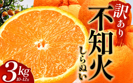 [数量限定・訳あり]しらぬい 約3kg(10〜12玉) MS-1|不知火 柑橘 みかん ミカン 蜜柑 果物 生果 旬 フルーツ デコポン と同品種 国産 産地直送 家庭用 鹿児島県 南大隅町