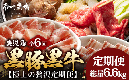 [定期便全6回]黒豚・黒牛の極上の贅沢定期便 〜牛肉と豚肉交互に楽しむ贅沢なひととき〜 NS-38 