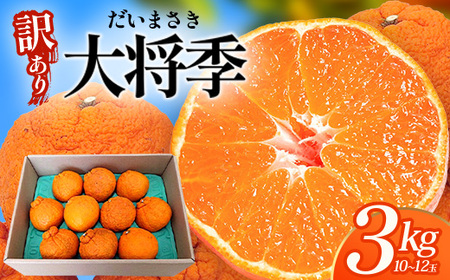[数量限定][今が旬!訳あり!]大将季 約3kg(10玉〜12玉) MS-2|数量限定 柑橘 みかん ミカン 蜜柑 果物 生果 旬 フルーツ くだもの 国産 産地直送 家庭用 佐多岬