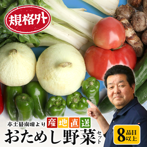 [規格外]本土最南端から 旬のお試し 野菜セット 8品目以上 NI-2 | 旬 野菜 やさい 果物 くだもの 産地直送 農産物 冷蔵 鹿児島県 南大隅町産 詰合せ おまかせ 家庭用 訳あり なんたん市場