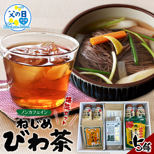 [父の日ギフトに]ねじめびわ茶うれしい満喫セット(5種)化粧箱入 TO-20-FA
