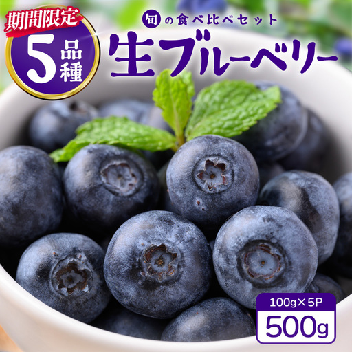 [期間限定]南大隅産 (生) ブルーベリー 食べ比べセット (5品種を1パックずつ) 100g×5P BB-2|鹿児島県 南大隅町 旬 産地直送 果物 フルーツ くだもの 新鮮 農園 冷蔵 本土最南端