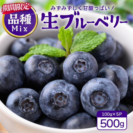 【期間限定】南大隅産 (生)ブルーベリー 品種ミックス詰め合わせ ≪100g×5P≫ BO-1 ｜ 鹿児島県 南大隅町 旬 産地直送 果物 ブルーベリー フルーツ くだもの 新鮮 農園 冷蔵 本土最南端