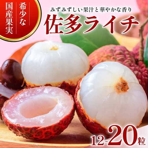 【期間限定・数量限定】 2026年7月より順次発送予定 生でお届け 佐多ライチ 約12粒～20粒 SG-1｜生ライチ 産地直送 新鮮 フレッシュライチ 国産ライチ フルーツ 果物 希少 鹿児島県 本土最南端 しげひさ農園