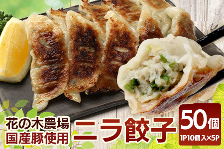 ニラ餃子[5パック] (24g×10個入り)×5セット |国産 豚肉 餃子 ぎょうざ