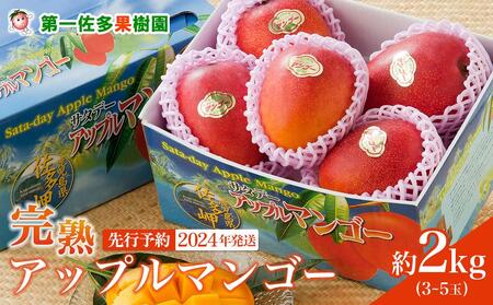 マンゴー 先行予約 佐多の果樹園で育てた 完熟アップルマンゴー 2kg (3～5玉) 【 マンゴー マンゴー マンゴー マンゴー マンゴー 】