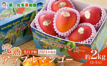 [2024年発送・先行予約]完熟アップルマンゴー2kg