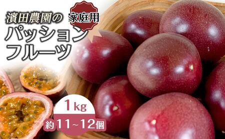 先行予約 濱田農園 パッションフルーツ 1kg 家庭用 | 鹿児島県産 パッションフルーツ 南国フルーツ パッションフルーツ