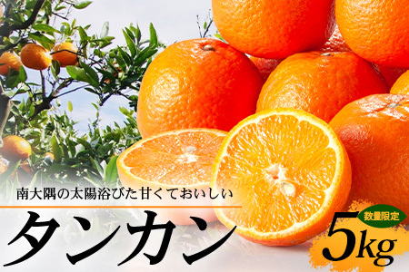 [先行予約・数量限定]南大隅の太陽浴びた甘くて・おいしい タンカン 5kg[2026年2月中旬以降順次発送]|たんかん タンカン 柑橘 甘い 果物 新鮮 産地 直送 先行予約 おすすめ 人気 南大隅町(AL7506)