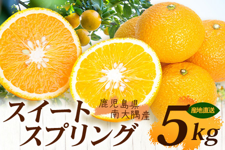[数量限定]鹿児島県南大隅産スイートスプリング 5kg [2025年12月下旬より順次発送]|柑橘 くだもの 果物 フルーツ スイートスプリング 食品 人気 おすすめ 南大隅 新鮮 産地直送 爽やか 数量限定(AL7510)