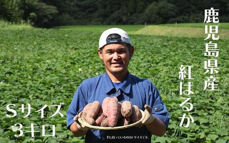 さつまいも 紅はるか 堀りたて 3kg ( 1箱 ) Sサイズ 新物 鹿児島県産 2024年12月末までに出荷[さつまいも 紅はるか 堀りたて 新物 鹿児島県産 3kg ( 1箱 ) Sサイズ 先行予約 野菜 やさい 食品 人気 おすすめ 送料無料 AX72201 南大隅町]