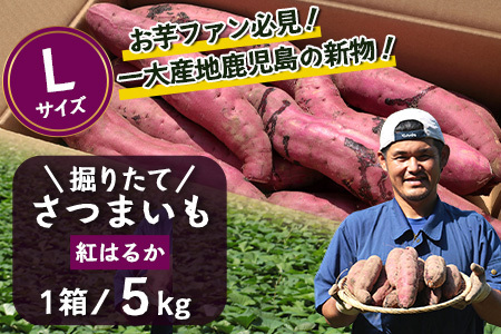 ܂ g͂邩 x肽 5kg ( 1 ) LTCY  V Y y25N9{菇zFR-532