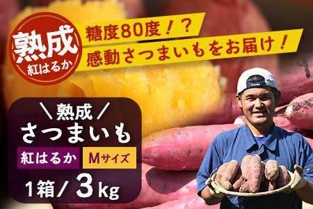 [先行予約]鹿児島県産さつまいも・熟成紅はるか3kg(1箱)Mサイズ| さつまいも べにはるか先行予約 野菜 やさい 食品 人気 おすすめ 送料無料 南大隅町(AX72213)