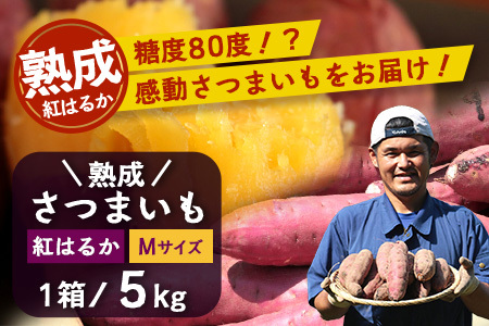 yYzn g͂邩 5kg (1 ) MTCY ܂y2025N11{菇zFR-214