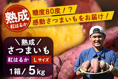 [先行予約][鹿児島県産 ]熟成 紅はるか 5kg (1箱 ) Lサイズ さつまいも