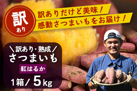 [訳あり!][先行予約]熟成 紅はるか 5kg (1箱 ) さつまいも 鹿児島県産