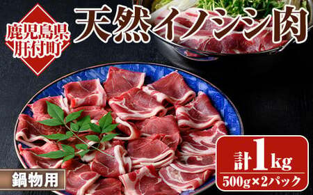 【A59004】＜先行予約受付中！2026年1月?3月に準備ができ次第発送＞天然イノシシ肉 スライス 冷凍 (500g×2P・計1kg) 鹿児島 国産 いのしし肉 イノシシ肉 スライス 鍋 ジビエ お中元 お歳暮【きらく】