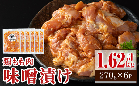 yA79005zēp{ƐX_t(v1.62kgE270g×6)  Y {  X  t Ⓚ o[xL[ ٓŷӂz