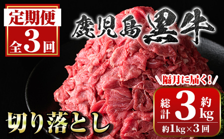 [定期便・全3回(隔月)]満足便 鹿児島黒牛切り落とし(約1kg×3回・計約3kg)牛肉専門店自慢 鹿児島 国産 九州産 黒牛 牛 切り落し 切落し 切落とし カット スライス 定期便 牛肉 ビーフ カレー 肉じゃが 冷凍 隔月 ギフト 贈答[新村畜産]