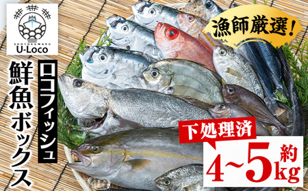 【A78004】漁師厳選！ロコフィッシュ(地魚) 下処理済 鮮魚 ボックス(約4～5kg)地魚 魚 お魚 冷蔵 生もの 加工品 未利用魚 低利用魚 焼き魚 焼魚 刺し身 刺身 煮魚 届くまでのお楽しみ 鮮魚セット 鮮魚ボックス 鮮魚BOX【昌徳丸】