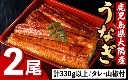 うなぎ蒲焼・大(有頭)(2尾・計330g以上)(タレ・山椒付)鹿児島 国産 鰻 うなぎ ウナギ 蒲焼き うな丼 うな重 ひつまぶし 土用の丑の日 真空パック お土産 贈答 ギフト プレゼント[一般社団法人きもつき宇宙協議会]