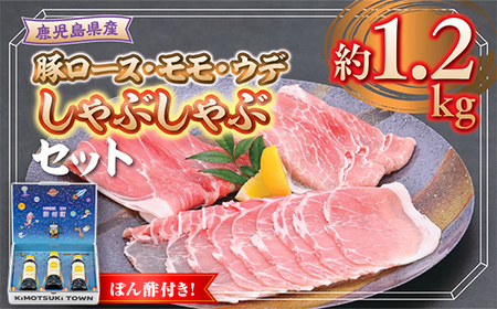 yW05006zY؃[X  Ef ԂԃZbg(v1.2kg) ۂ|t   ؓ |[N [X Ef  Ԃ IĂ ē oGeB Zbg 䂸| ||